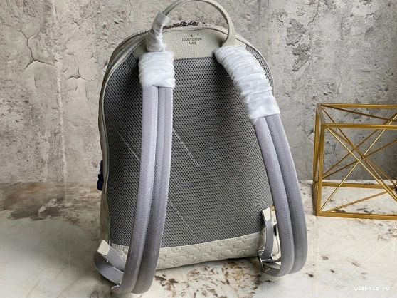 WIS ELLIPSE BACKPACK LOUIS VUITTON 0811